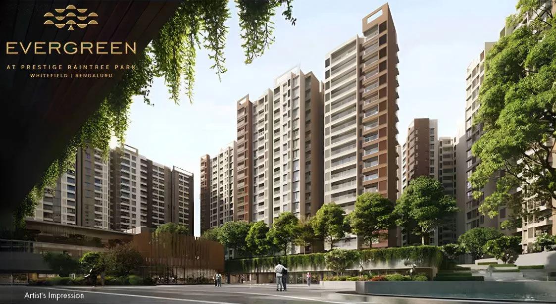 Prestige Evergreen